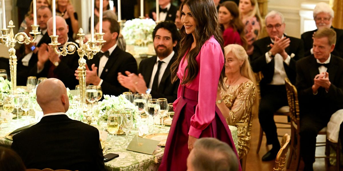 'Needs to shut his damn mouth': Dems turn the tables on red state DOGE ...