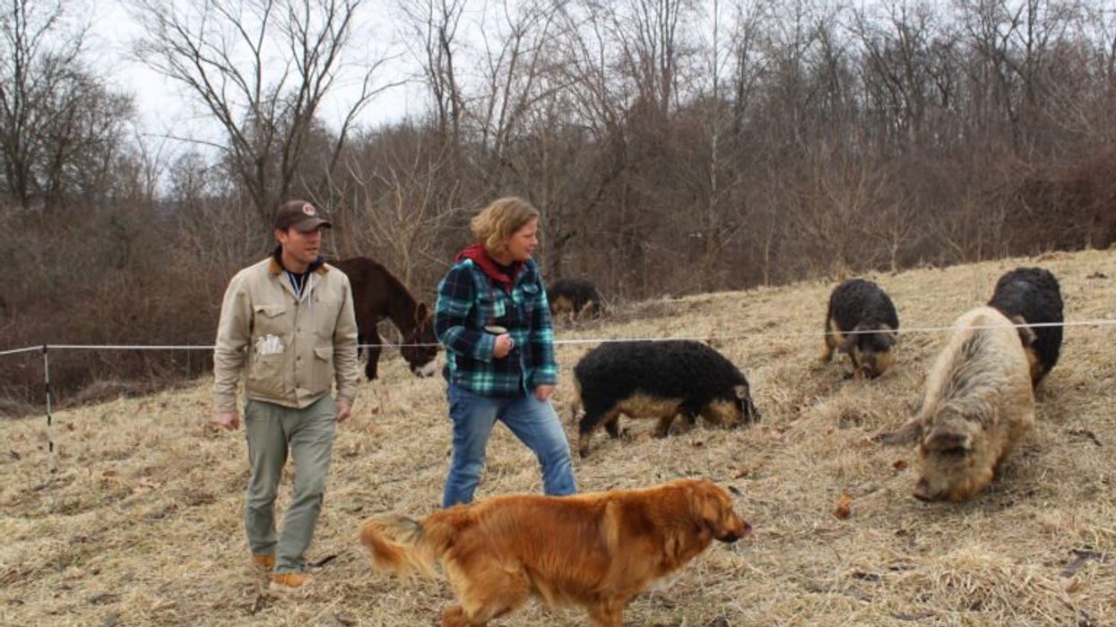 'Our cushion is gone': Ohio farmers worry Trump won't pay up on promised funding