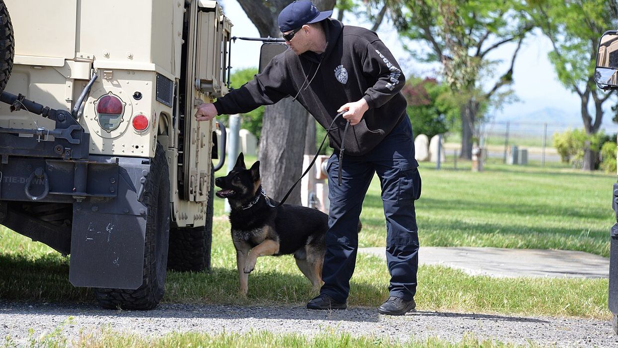 DOGE cuts threaten TSA canine units as Trump White House praises 'heroic working dogs'