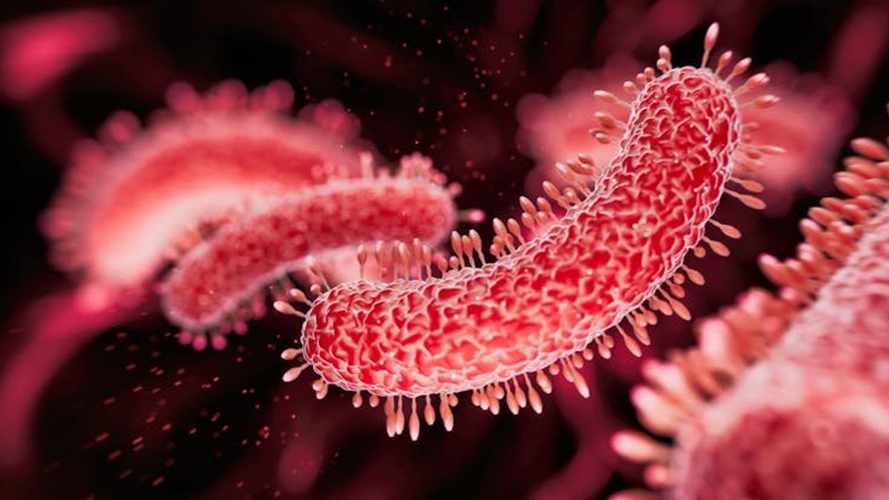 As tuberculosis cases rise in the US and worldwide, health officials puzzle over the resurgence of a disease once in decline