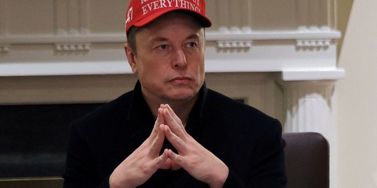 Tesla looking to replace Elon Musk as CEO amid declining profits: WSJ