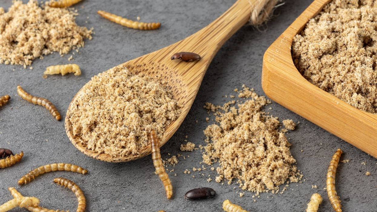 'I will not eat the bugs': Behind the right-wing narrative about insect consumption