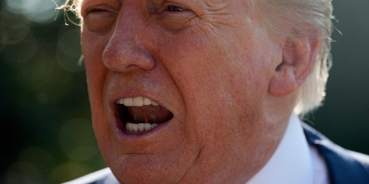 Trump calls for ban on 'fake ads' by 'radical left losers' as his poll numbers plummet