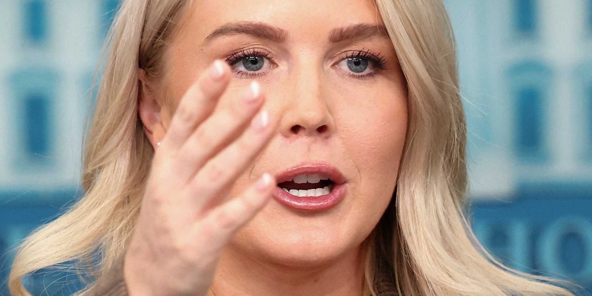 'Said the same thing with more words': Press secretary’s Fox News fact ...