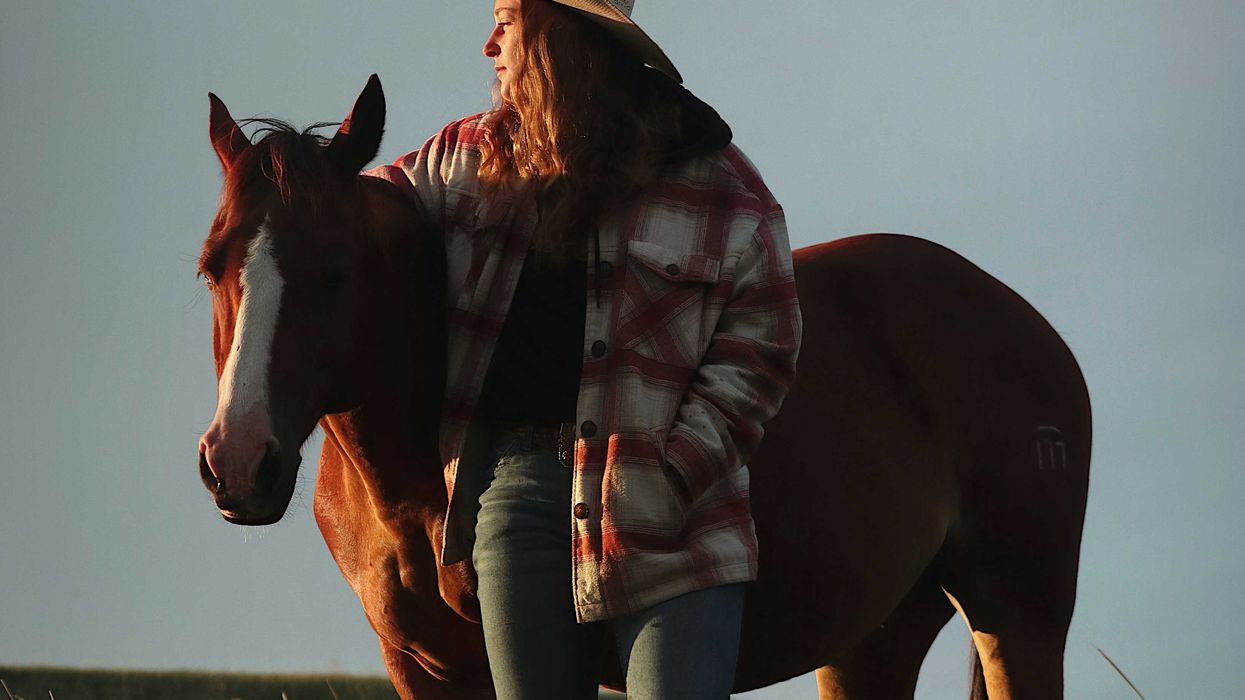 How the deep-red state of Montana could save democracy