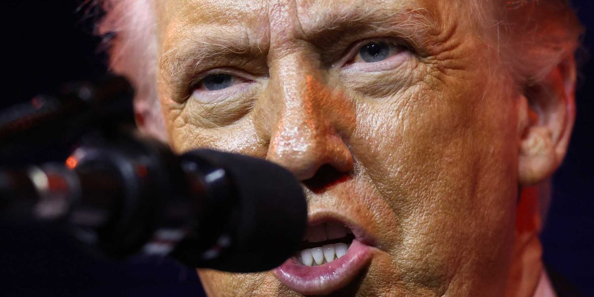 MAGA turning on the 'mediocre' former journalist driving Trump's inane revelations