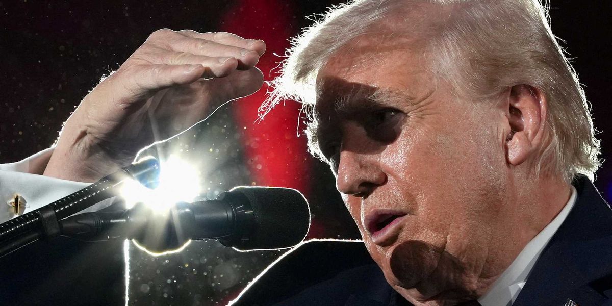 Trump hunts after longtime critic in 'improper revenge campaign'