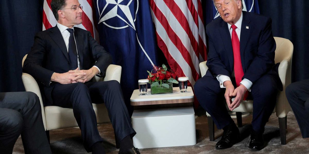 White House faces 'self-inflicted quagmire' as defense plan threatens to 'punish the US'