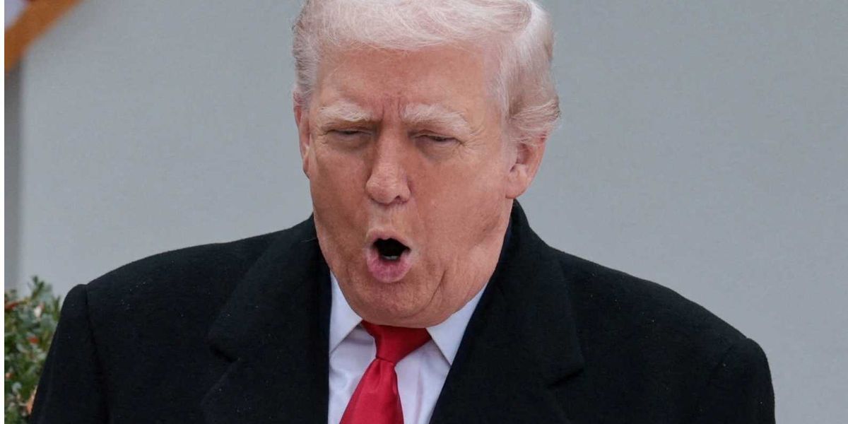 Critics go ballistic following announcement of Trump's new Orwellian commission