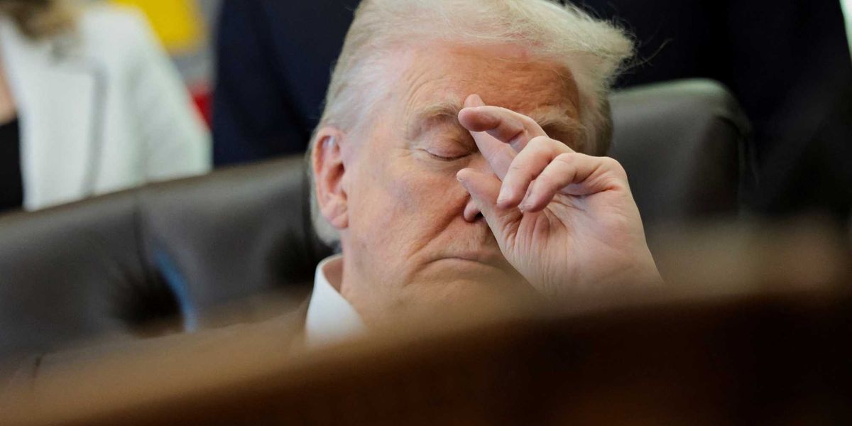 Misfire: Trumper accidentally snarls commissioners' own election data