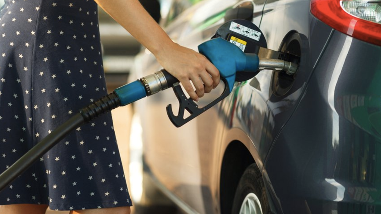 'Ludicrous and terrifying': Economist warns gas prices could determine 'the fate of American democracy'