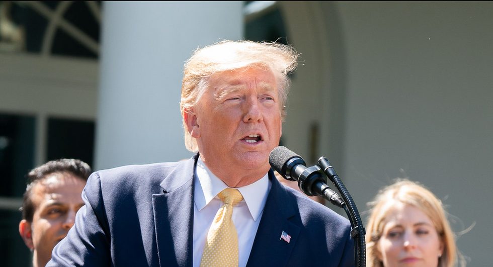 Trump thinks white-supremacist trolling is his path to re-election