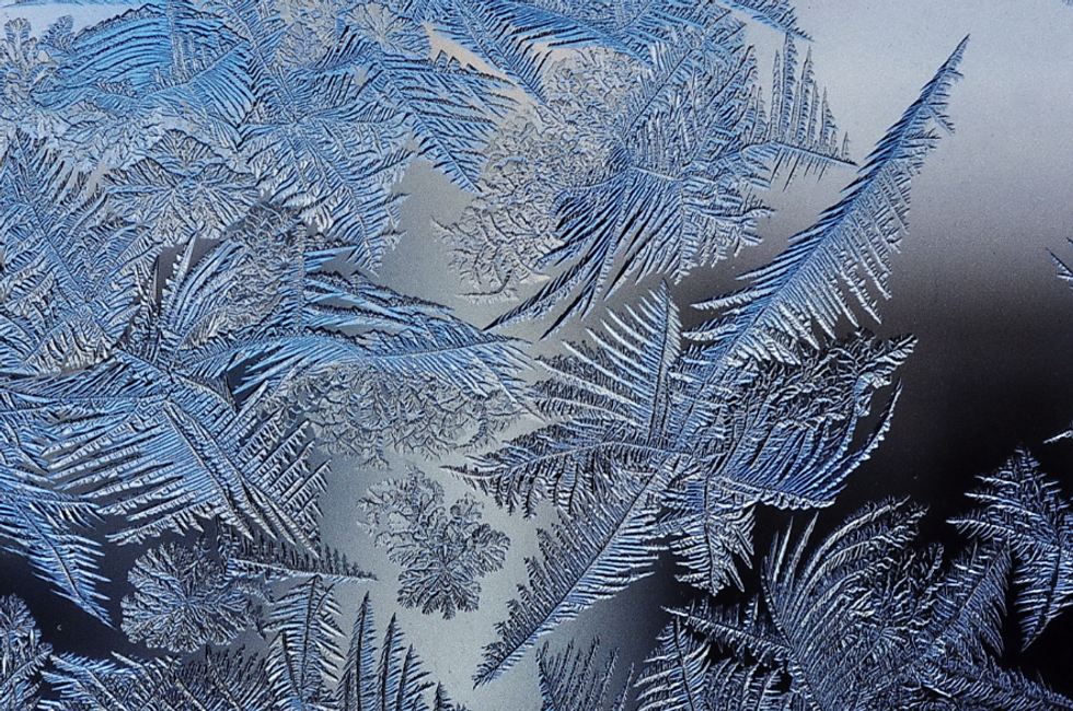 An expert in complexity explains how mathematical fractals shape our world — including lungs, earthquakes, and wealth