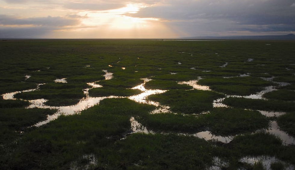 How the coronavirus has created an opening to save our climate