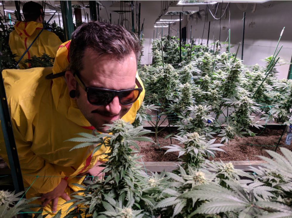 Here are 5 key facts about how legal weed is transforming Colorado