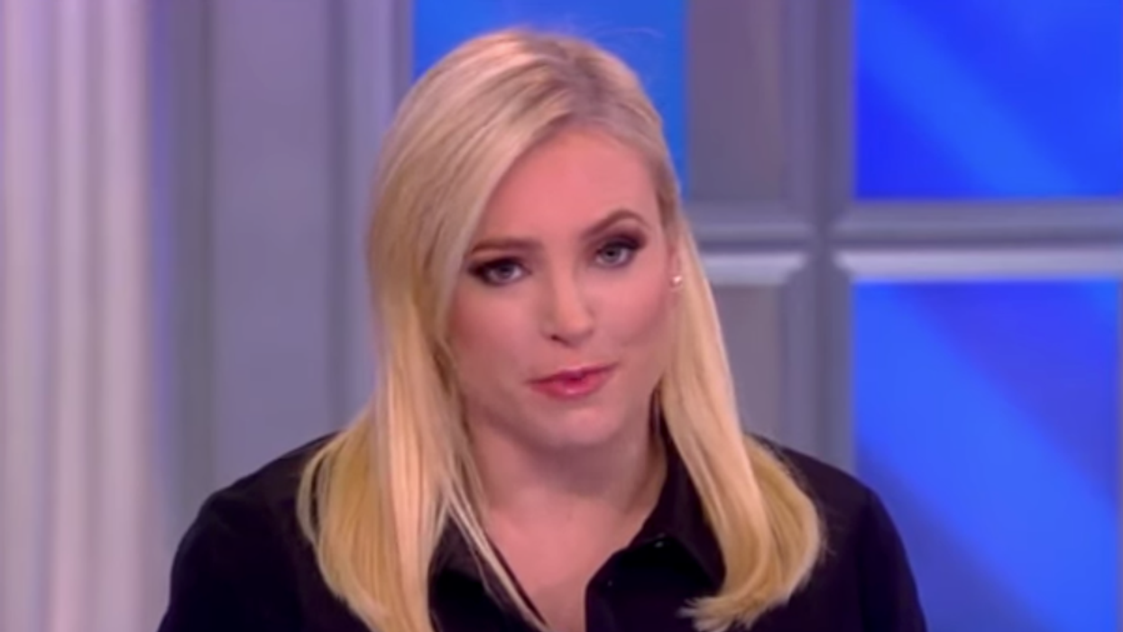 Meghan McCain slammed for suggesting barbed wire fences were put up around Congress because of impeachment