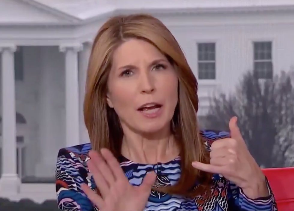 'I don't have words': MSNBC's Nicolle Wallace mocks Trump and Hannity after Democrats 'functionally demolished' their border wall dreams