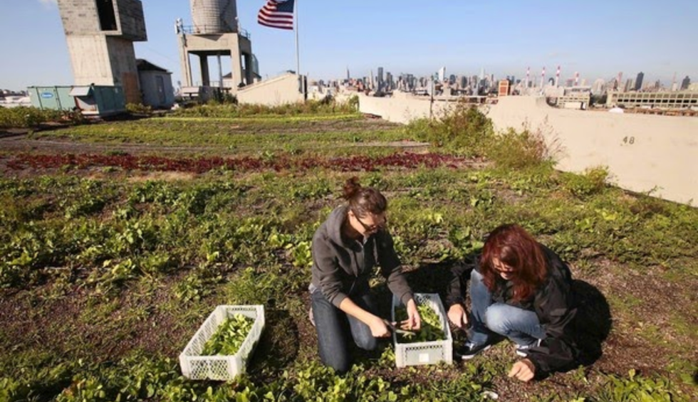 54 million people in the US may go hungry during the pandemic