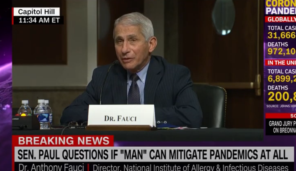 ‘You’re not listening’: Dr. Fauci schools Rand Paul live during heated Senate COVID-19 hearing