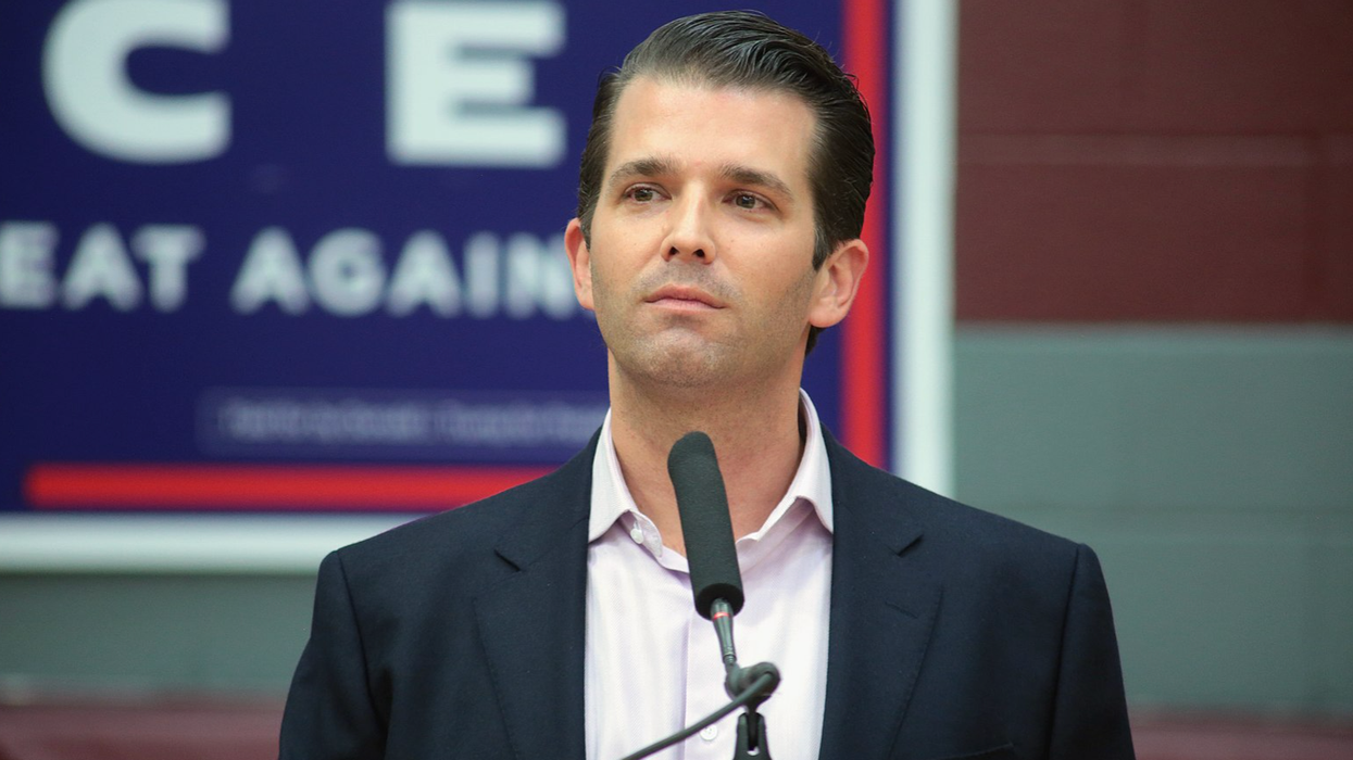 'Too soon?' Don Jr. mocks brutal hammer attack with 'Paul Pelosi Halloween costume' meme