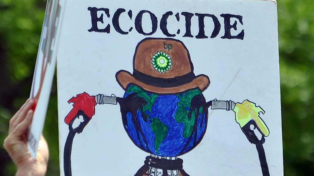 International lawyers drafting plan to hold governments, corps accountable for 'widespread destruction' of ecosystems