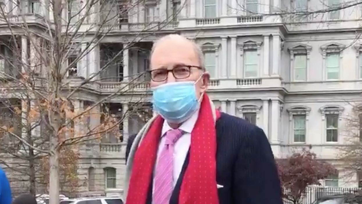 'Where is the president?': Trump adviser flounders when pressed on White House inaction