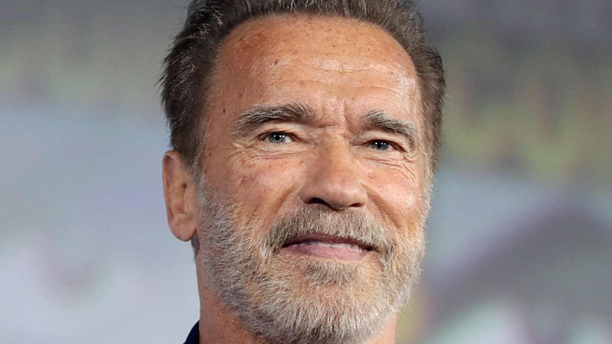 'Judgment day': Schwarzenegger blasts Trump's 'un-American' call to Raffensperger in blistering op-ed