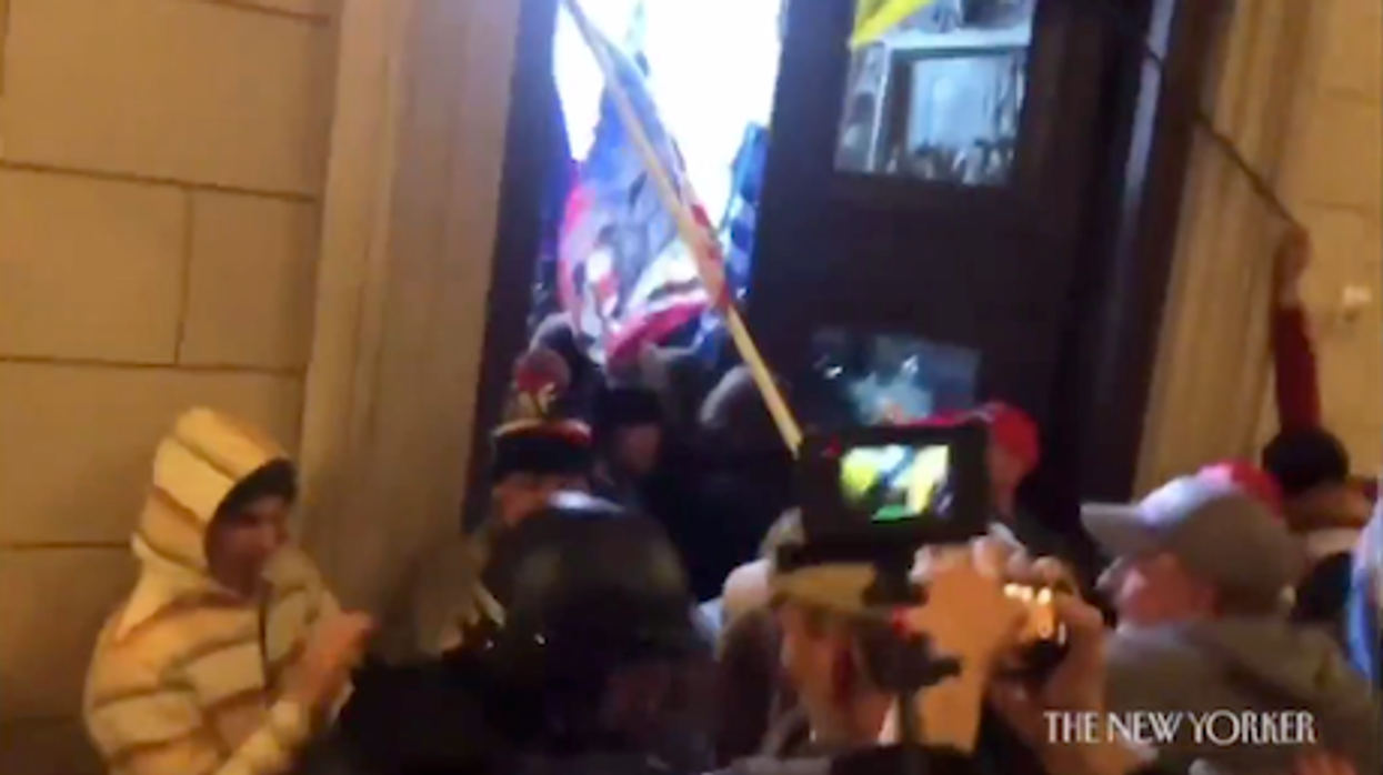 Watch: Shocking video of Capitol insurrection shows rioter saying Ted Cruz 'would want us to do this'