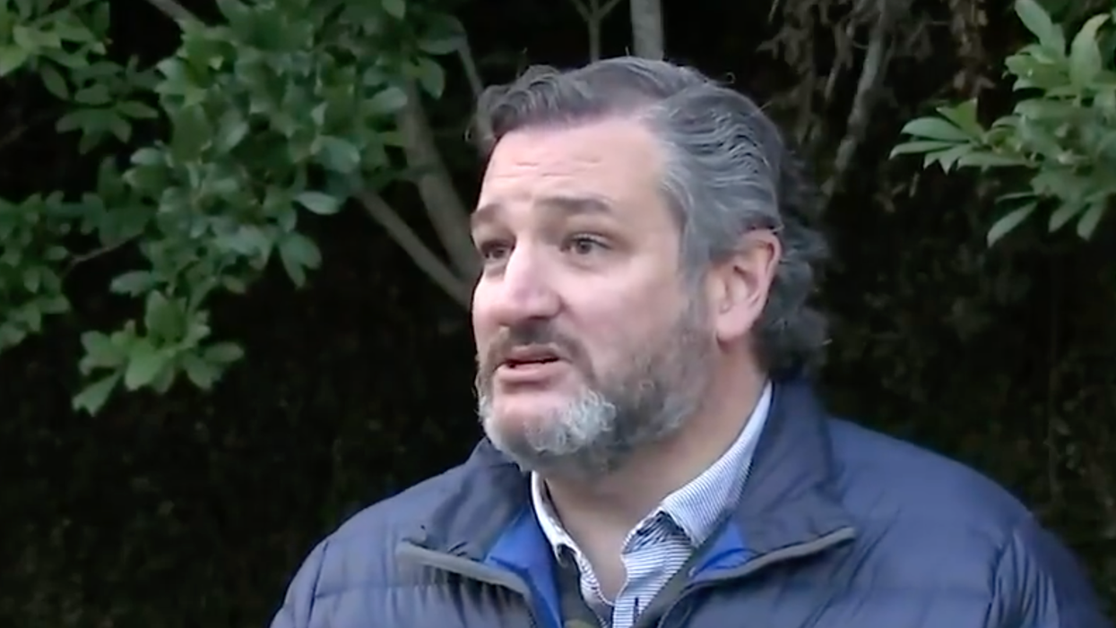 Ted Cruz asks Capitol Police chief what could have been done to prevent Jan. 6 rioters