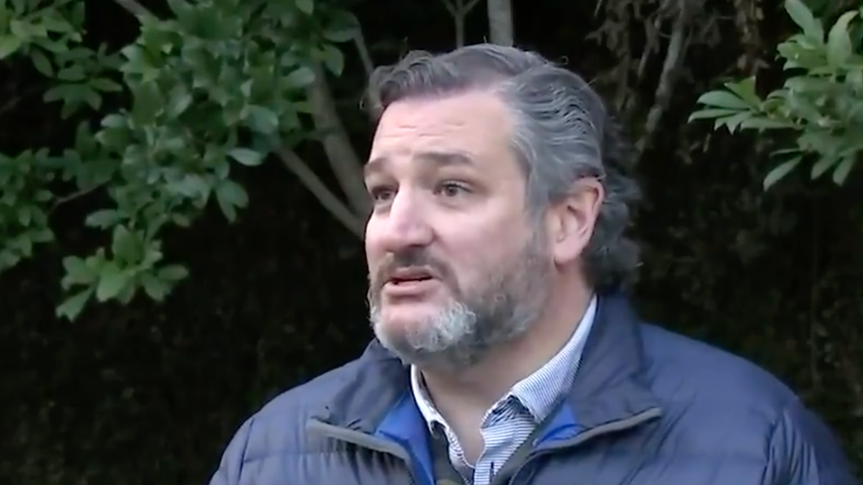 'You don’t care': Twitter bulldozes Ted Cruz for defending guns while 'praying' for Club Q victims