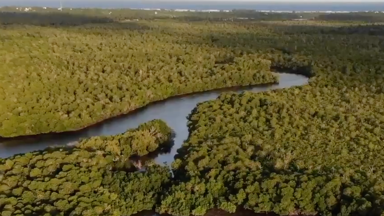 UN head decries 'senseless and suicidal' destruction of nature as new report urges systemic solutions
