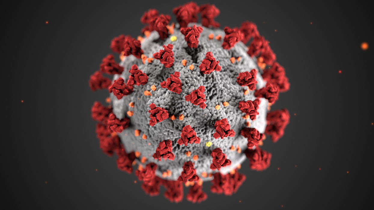 Top WHO epidemiologist warns coronavirus pandemic 'growing exponentially' around the world