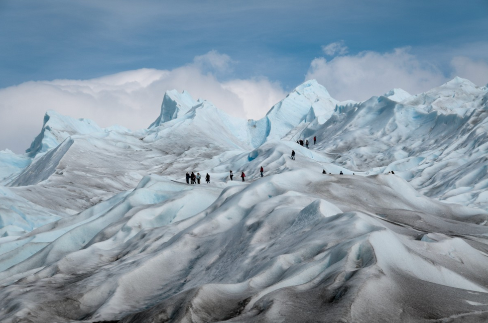 arctic