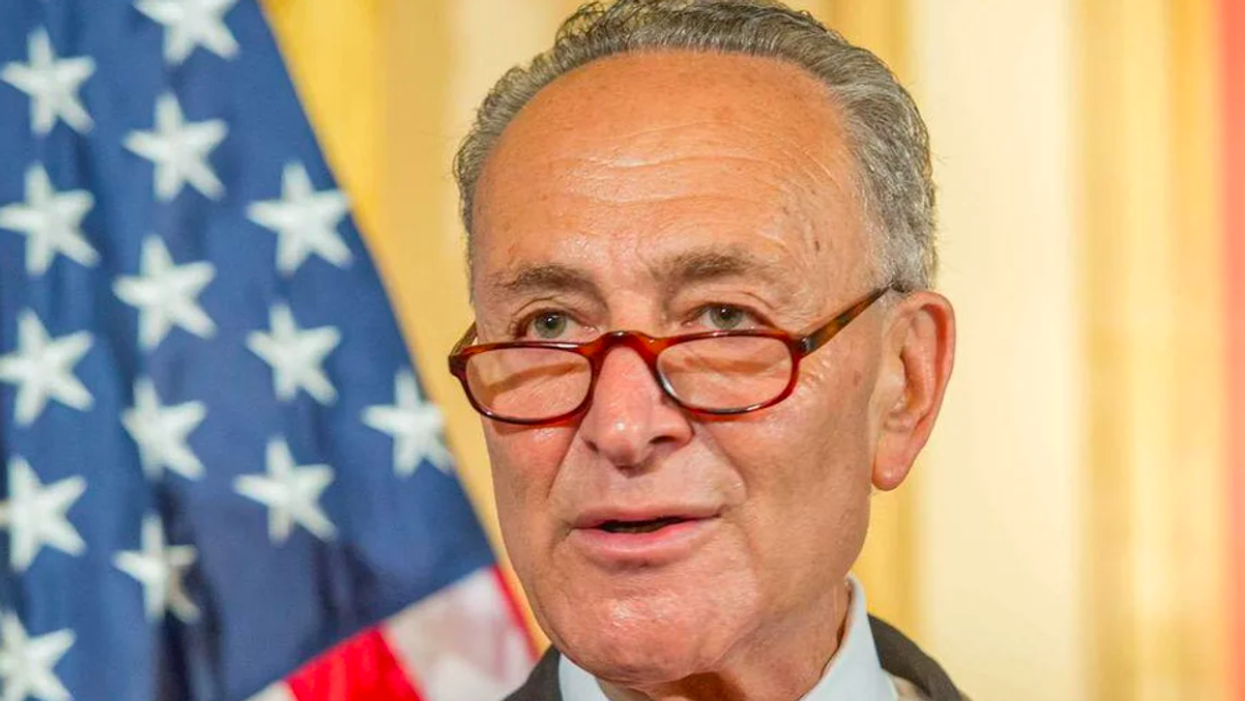 Americans demand Dems in Congress show same 'fighting spirit' as Texas Democrats to protect voting rights