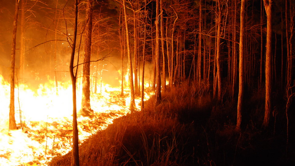 How years of fighting every wildfire helped fuel the Western megafires of today