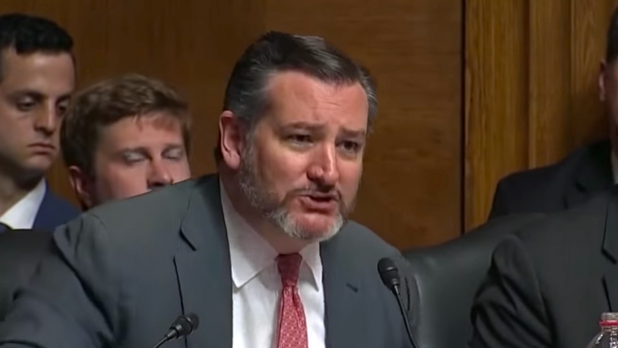 A law professor calls out Texas to Sen. Ted Cruz's face when he asks if voter ID laws are ‘racist’