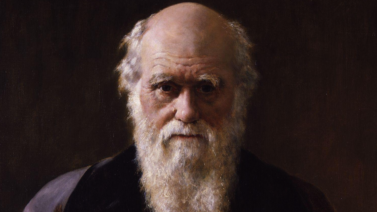 An ancient fossil may provide a new perspective on 'Darwin’s dilemma'