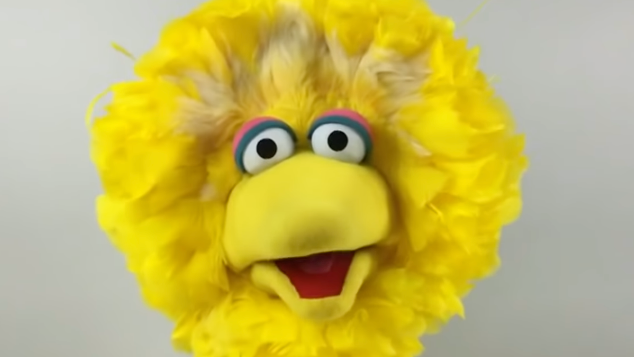 Ivermectin-pushing doctor attacks CNN and Sesame Street for 'collusion' over vaccine information