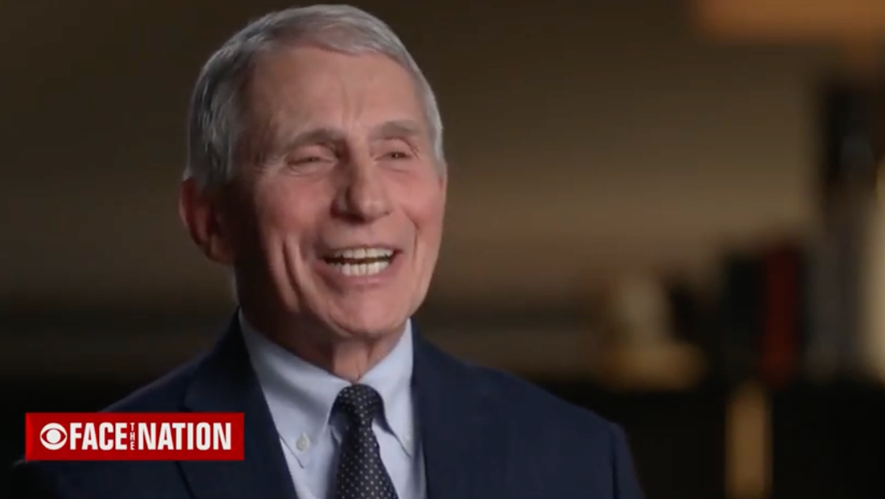 'What happened on Jan. 6, Senator?' Anthony Fauci shreds Ted Cruz for threatening to put him in jail