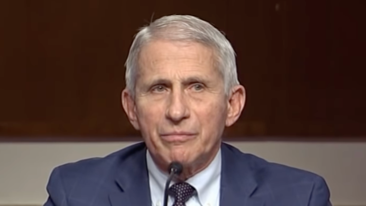‘What a moron’: Dr. Fauci loses his temper with a GOP senator during a heated exchange