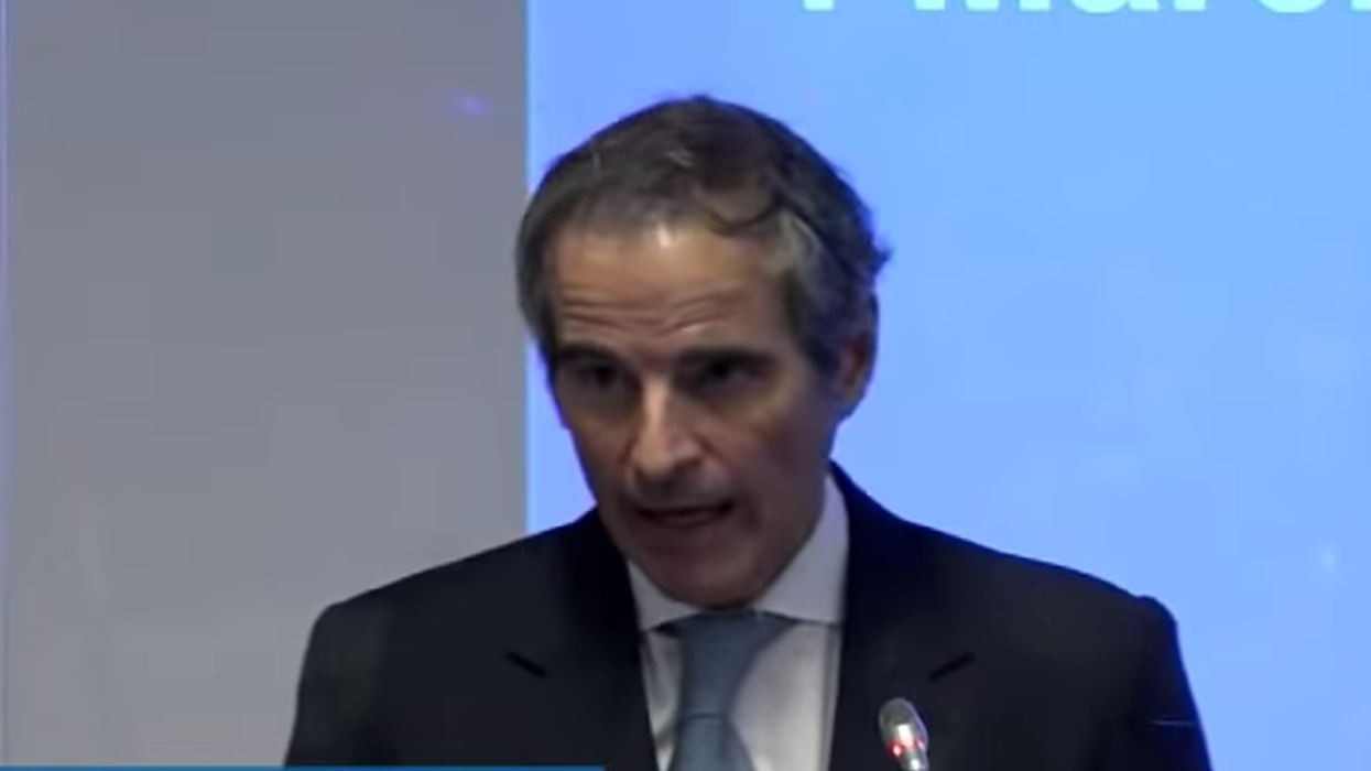 Ukrainian nuclear power plans in 'unprecedented danger': IAEA chief