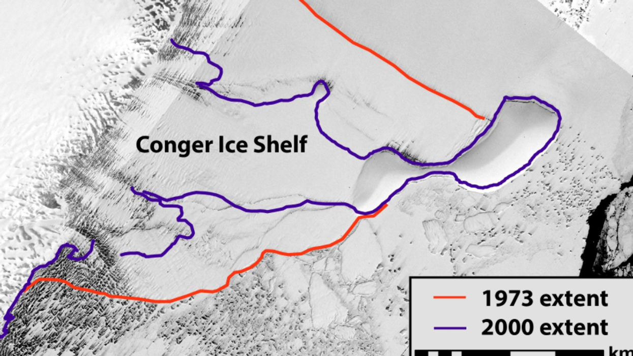 'The environment is collapsing': an ice shelf the size of Los Angeles just broke off of Antarctica