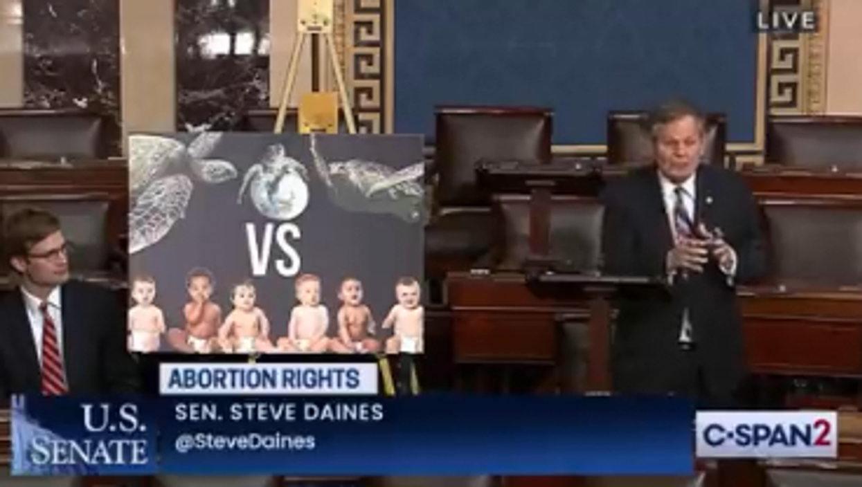 GOP senator ridiculed for comparing pregnant women to sea turtles