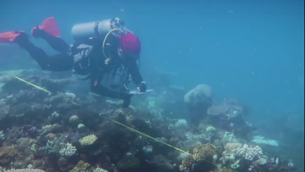 Ninety-one percent of Australia's Great Barrier Reef whitened in sixth mass bleaching event: study