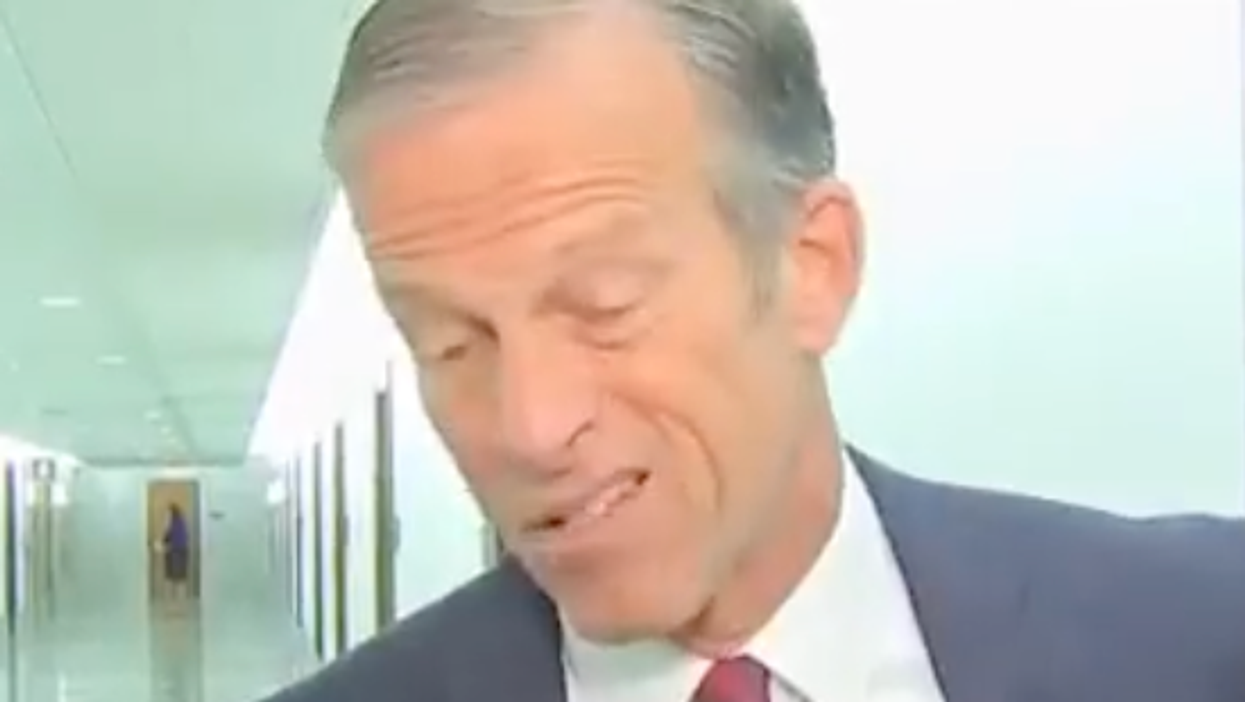 Like using a 'bazooka to hunt squirrels': John Thune ridiculed for 'prairie dog' defense of AR-15 ownership