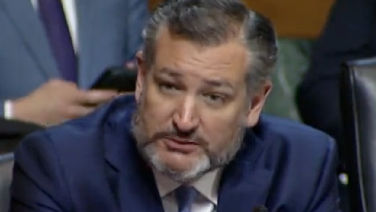'You've done nothing': Ted Cruz scolded for inaction on gun violence after claiming 'we need to do something'