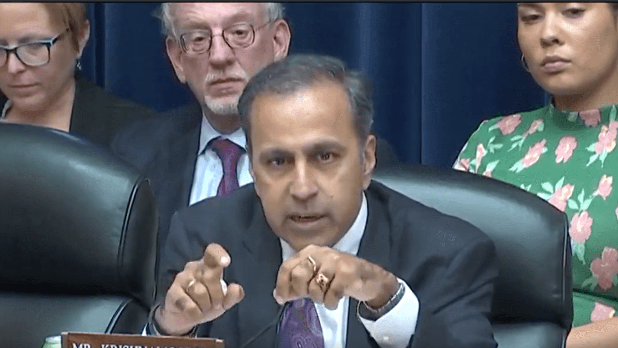 'Joe Biden was not the president': Krishnamoorthi destroys GOP claims of election interference