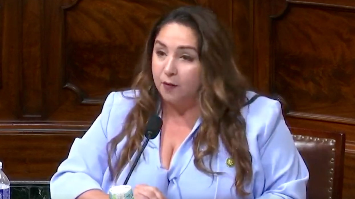 'Raw political sham': House Democrat torches GOP witness for invoking racist Great Replacement Theory