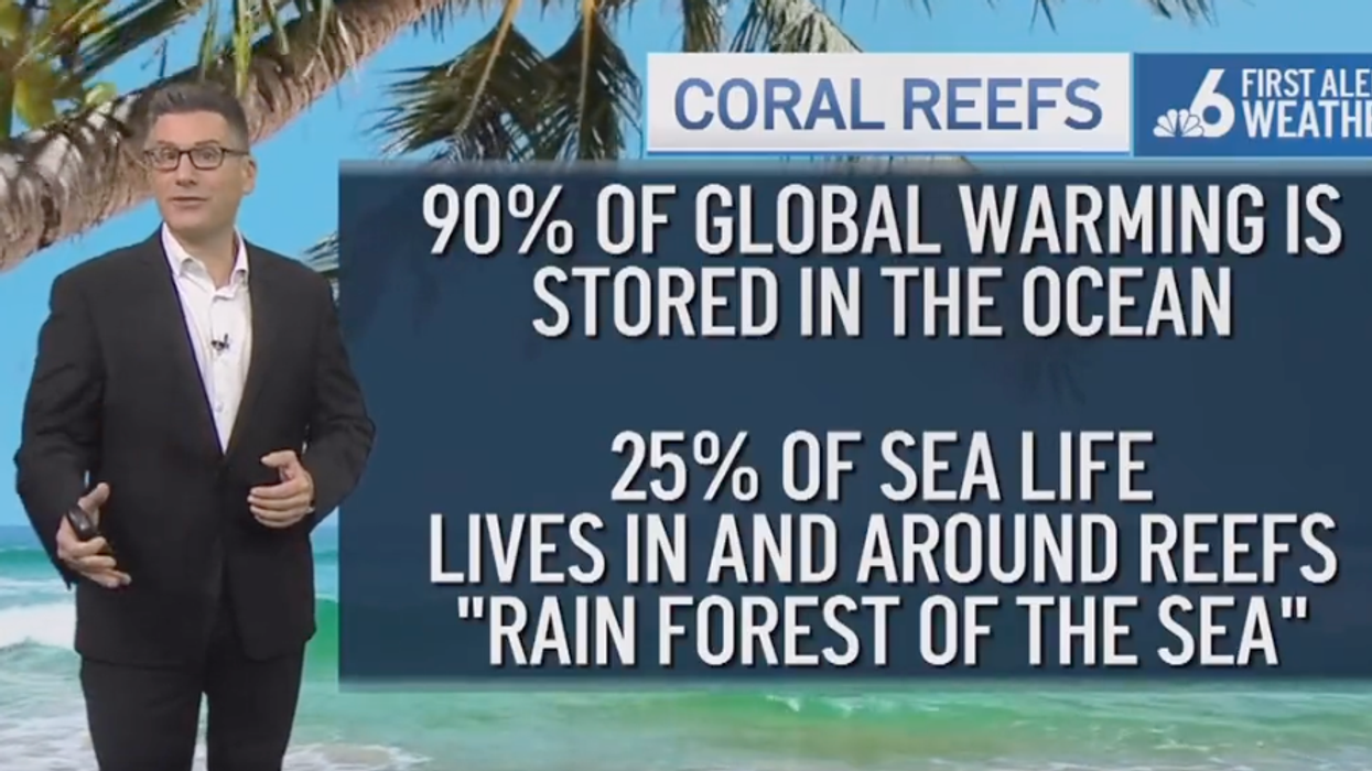 Meteorologist: Humanity has reached 'a point we cannot return from' as ocean temperatures soar