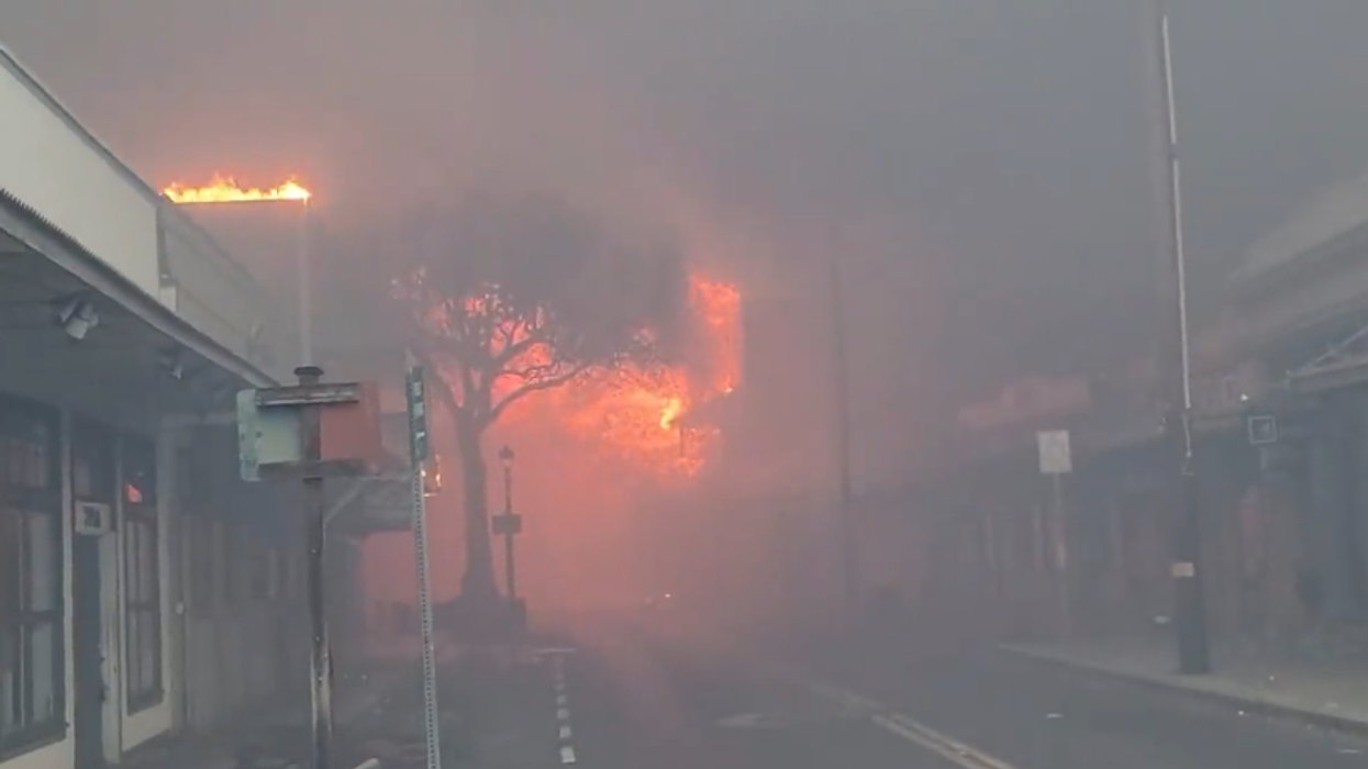 Apocalyptic' wildfires Engulf Maui, Killing At Least 6